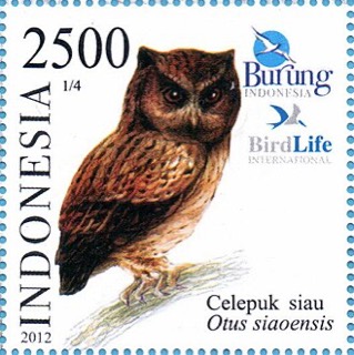 Otus siaoensis